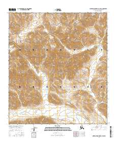 2016 Map of Misheguk Mountain C-2 SW, 2016 Print