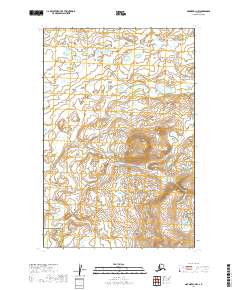2019 Map of Naknek D-1 NW, 2019 Print