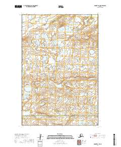 2019 Map of Naknek D-3 NE, 2019 Print