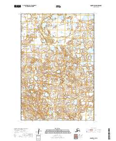 2019 Map of Naknek D-5 NE, 2019 Print