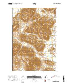 2019 Map of Nushagak Bay D-5 NE, 2019 Print