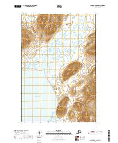 USGS Topographic Map – Nushagak Bay D-5 NW