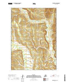 2019 Map of Sleetmute A-5 NE, 2019 Print