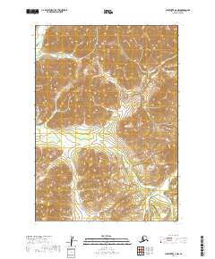 2019 Map of Sleetmute A-7 NW, 2019 Print