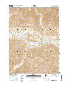 USGS Topographic Map – Survey Pass C-4 NE