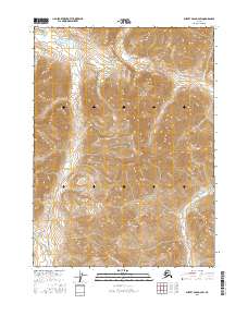 USGS Topographic Map – Survey Pass D-2 SW