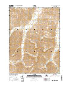 2016 Map of Survey Pass D-3 SW, 2016 Print
