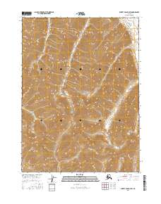 2016 Map of Survey Pass D-4 SW, 2016 Print