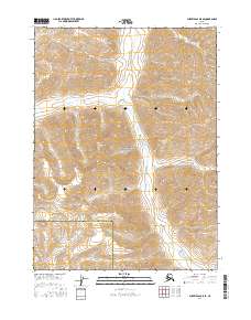 USGS Topographic Map – Survey Pass D-5 SE