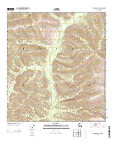 USGS Topographic Map – Tanacross A-1 NE