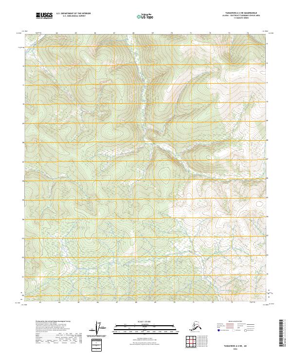 2024 Map of Tanacross A-2 NE, 2024 Print