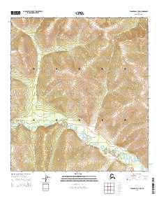 USGS Topographic Map – Tanacross B-1 NW