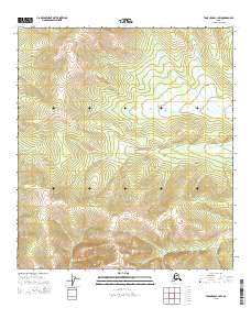 USGS Topographic Map – Tanacross C-1 SW