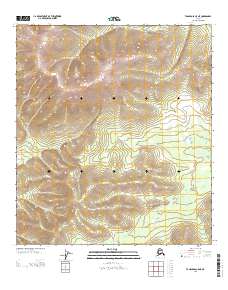 2013 Map of Tanacross C-5 NE, 2013 Print