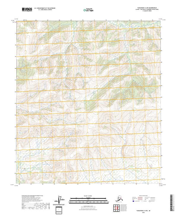 2024 Map of Tanacross C-6 NE, 2024 Print
