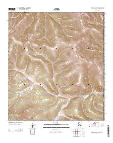 USGS Topographic Map – Tanacross D-1 NE