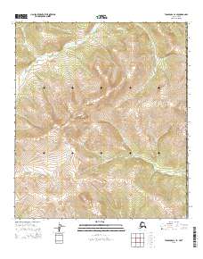 USGS Topographic Map – Tanacross D-1 SE