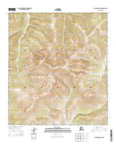 2015 Map of Tanacross D-1 SW, 2015 Print