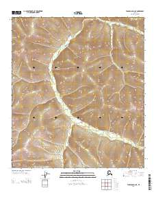 USGS Topographic Map – Tanacross D-2 NE
