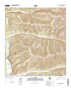 USGS Topographic Map – Tanacross D-2 SW