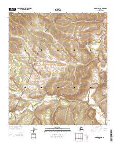 USGS Topographic Map – Tanacross D-3 NE