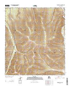 USGS Topographic Map – Tanacross D-3 SE