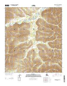 2013 Map of Tanacross D-4 NE, 2013 Print