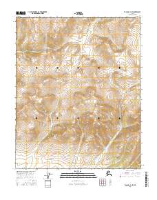 2016 Map of Tanana C-4 NW, 2016 Print