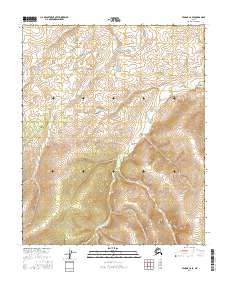2016 Map of Tanana C-6 SE, 2016 Print