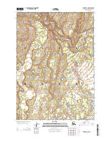 USGS Topographic Map – Tyonek A-4 NE