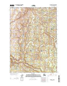 USGS Topographic Map – Tyonek A-4 NW