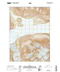 USGS Topographic Map – Tyonek A-8 NE