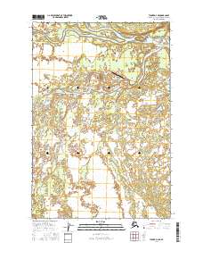 USGS Topographic Map – Tyonek D-4 NE