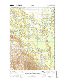 USGS Topographic Map – Tyonek D-4 SE