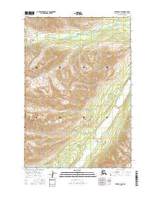 USGS Topographic Map – Tyonek D-8 NE