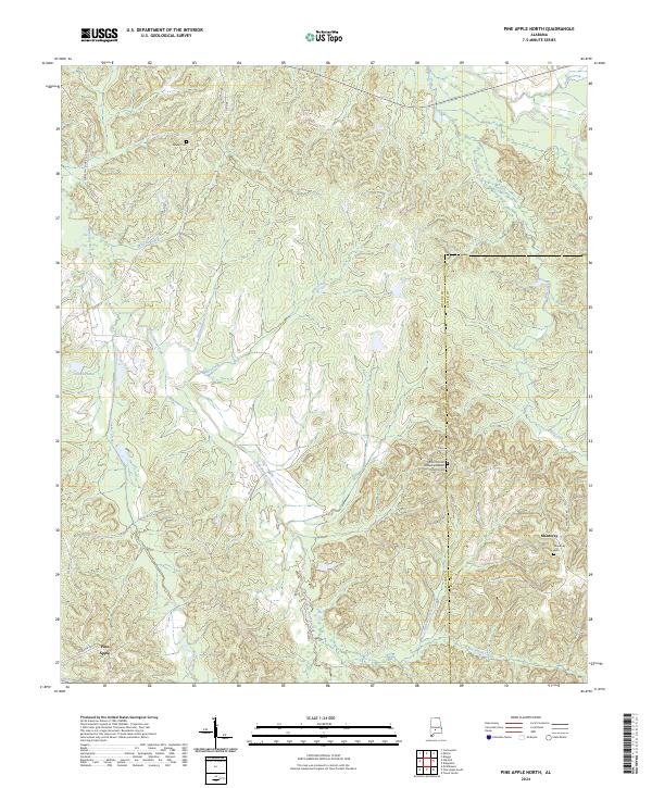 USGS Topographic Map – Pine Apple North