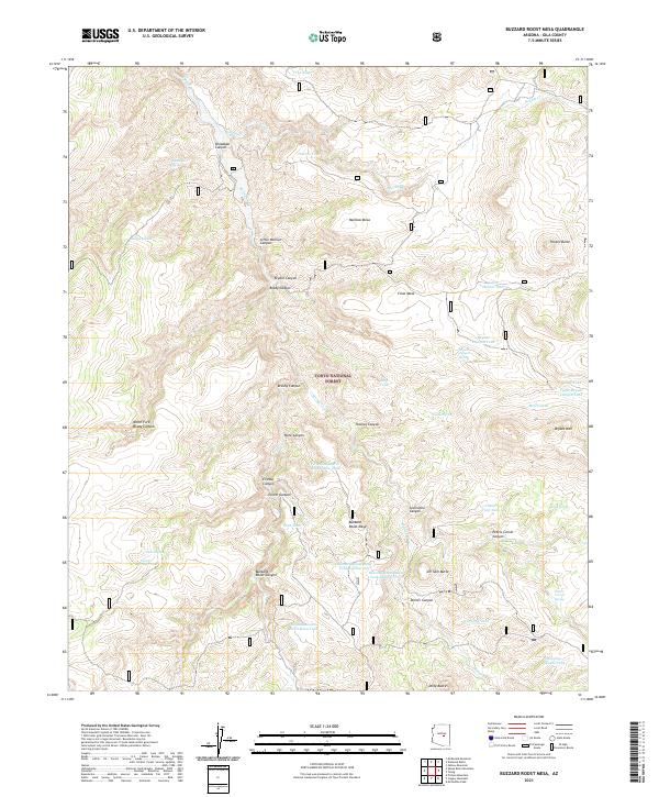 USGS Topographic Map – Buzzard Roost Mesa