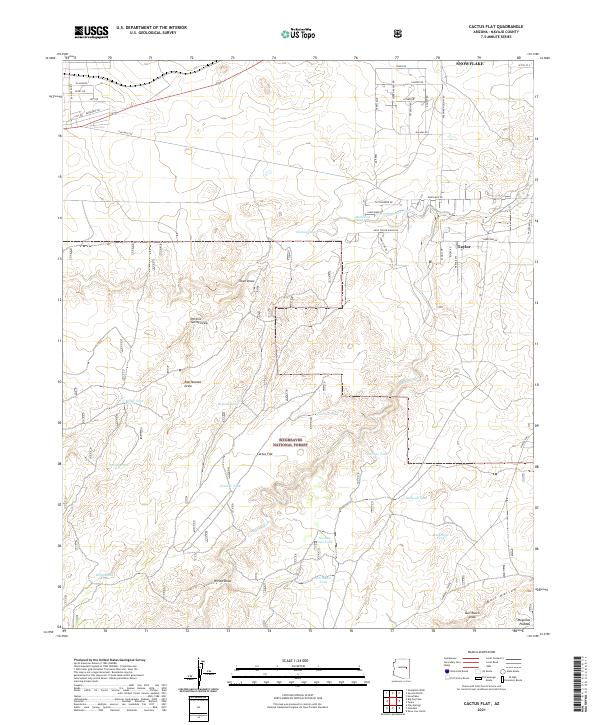 USGS Topographic Map – Cactus Flat