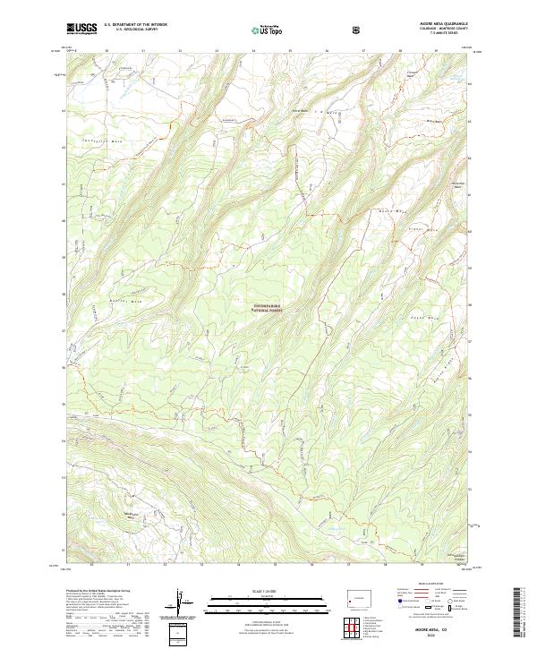 USGS Topographic Map – Moore Mesa