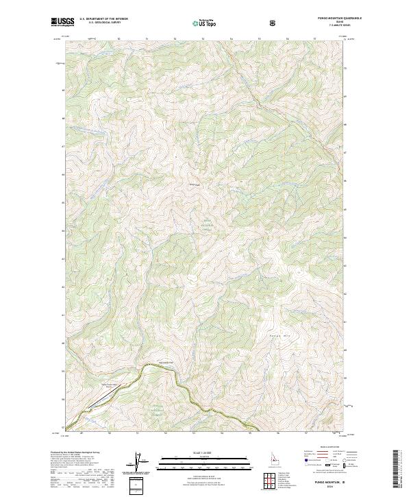 USGS Topographic Map – Pungo Mountain