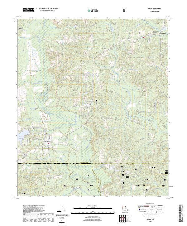 USGS Topographic Map – Saline