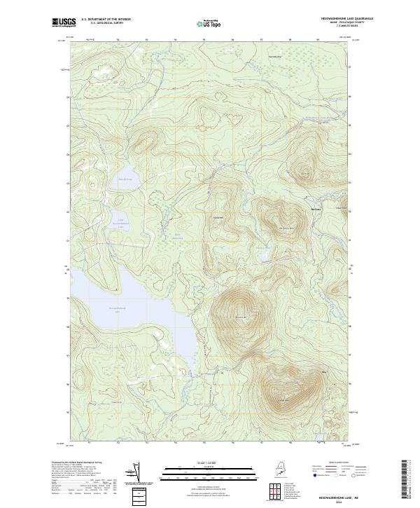 USGS Topographic Map – Nesowadnehunk Lake