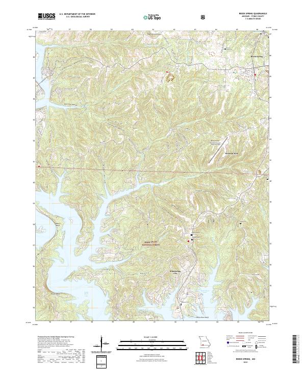 USGS Topographic Map – Reeds Spring