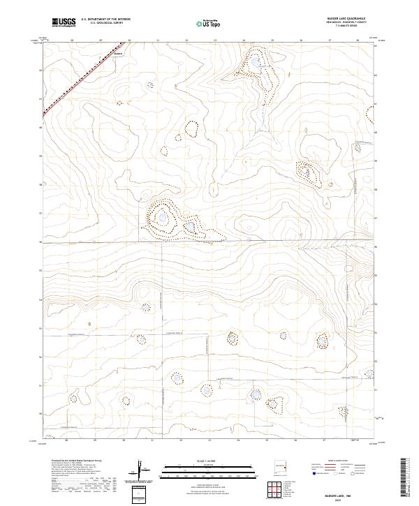 USGS Topographic Map – Badger Lake