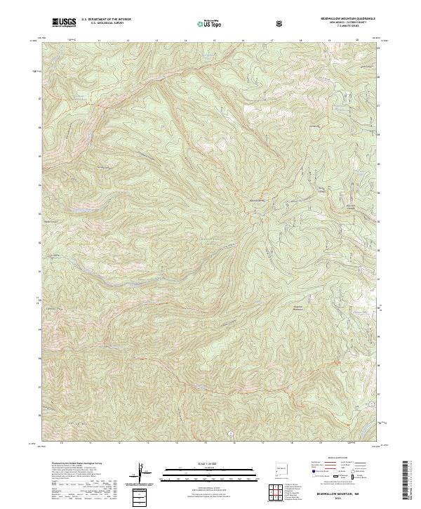 USGS Topographic Map – Bearwallow Mountain