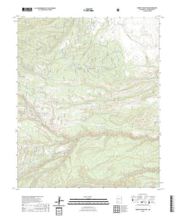 USGS Topographic Map – Negrito Mountain