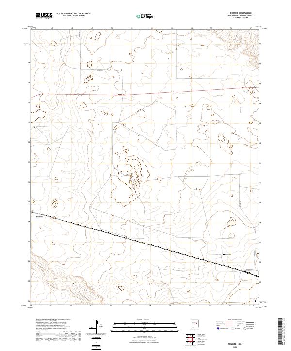 USGS Topographic Map – Ricardo