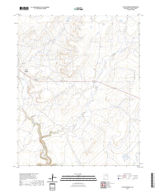 USGS Topographic Map – Taylor Springs