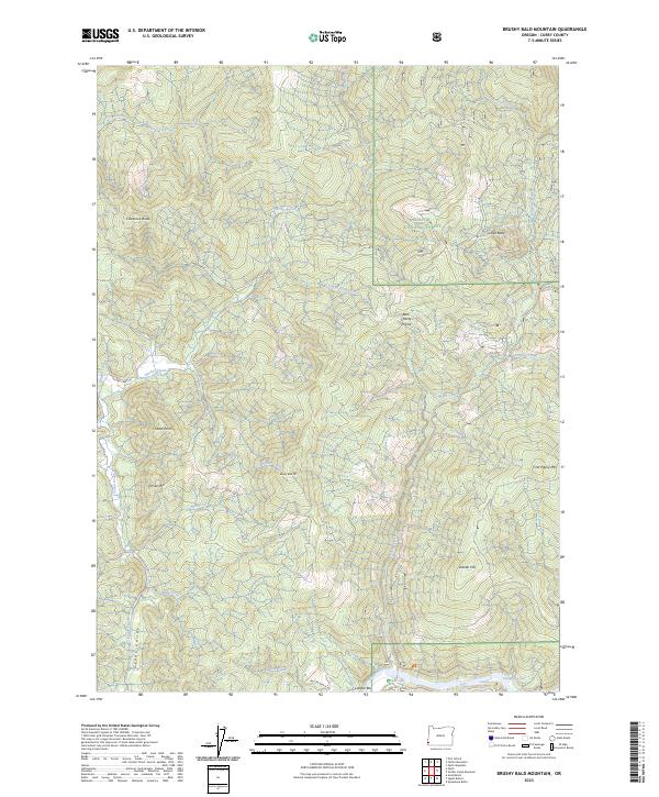 USGS Topographic Map – Brushy Bald Mountain