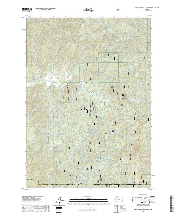 USGS Topographic Map – Cedar Springs Mountain